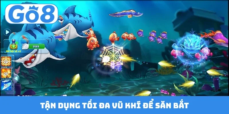 tan dung toi da vu khi de san bat Tận dụng tối đa vũ khí để săn bắt